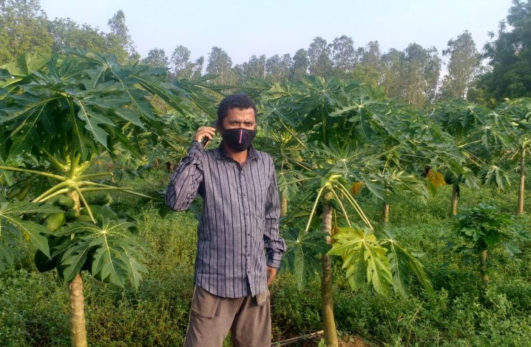 କୋଭିଡ୍‌-୧୯: ରିଲାଏନ୍ସ ଫାଉଣ୍ଡେସନ୍‌ର ଚାଷୀଙ୍କୁ ବିପଣନ ସହାୟତା
