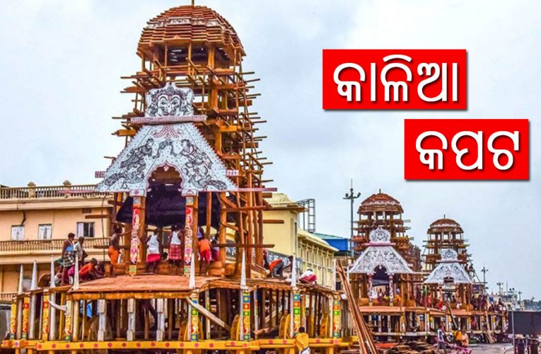 କାଳିଆ କପଟିଆ ନା କପଟରେ କାଳିଆ!