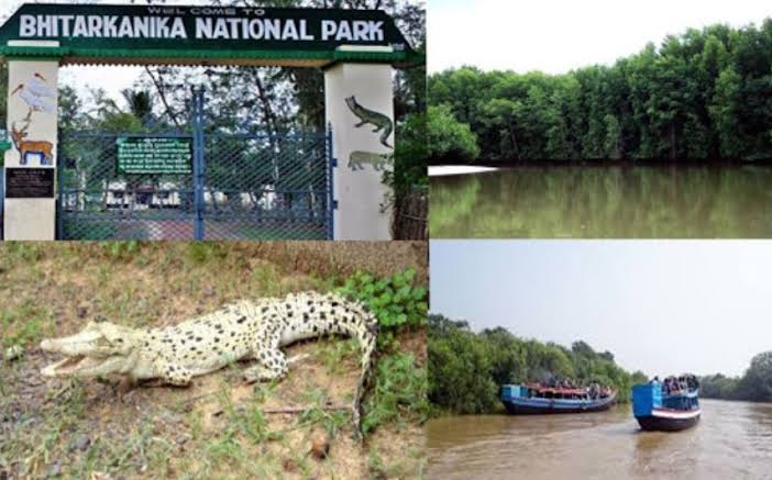 ଆଜିଠୁ ଖୋଲିଲା ବିଶ୍ୱ ପ୍ରସିଦ୍ଧ ଭିତରକନିକା ଜାତୀୟ ଉଦ୍ୟାନ